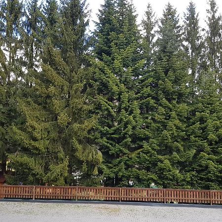 Apartmany 33 A 8 Ad Kamzik Donovaly Exterior foto